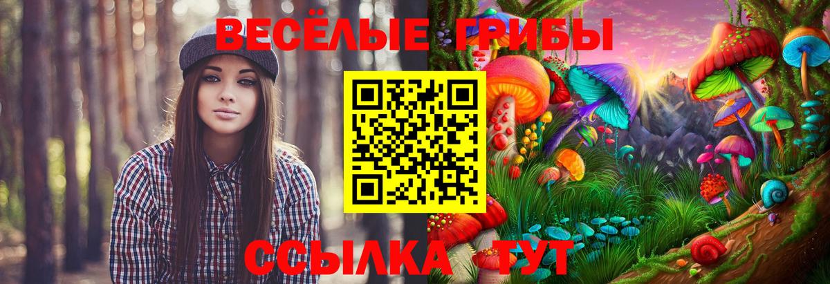 Галлюциногенные грибы MAGIC MUSHROOMS  Псилоцибиновые грибы Cubensis  Качканар  Вход с VPN 