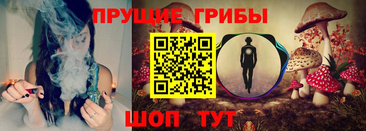 Галлюциногенные грибы Psilocybine cubensis Качканар